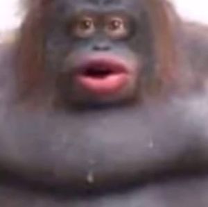 Meet your Posher, Javier